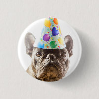 French Bulldog with Party Hat
