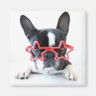French Bulldog With Red Star Glasses Magnet