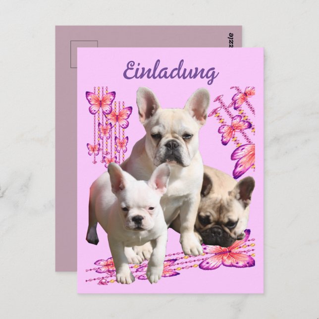 French bulldog with three bulldoggs postcard (Front/Back)