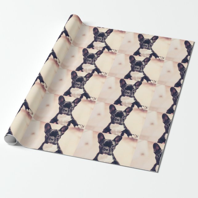 French Bulldog Wrapping Paper (Unrolled)