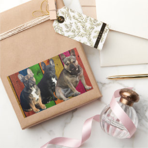  French Bulldogge 3 Bullys sticker