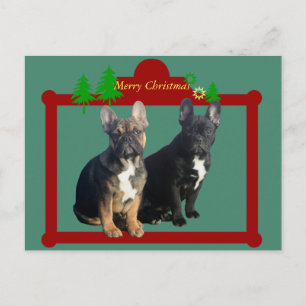 French Bulldogge Christmas card