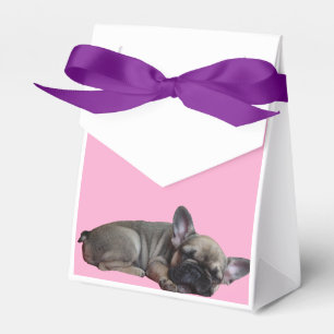 French Bulldogge gift box