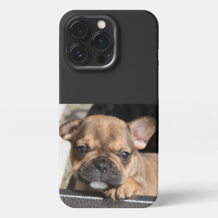 French Bulldogge iPhone 13 Pro Case
