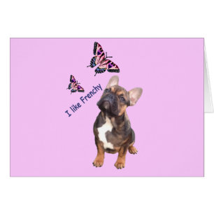 French Bulldogge postcard