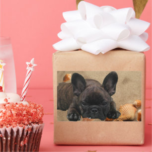 French bulldogge sticker