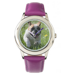 French bulldoggen Children watch