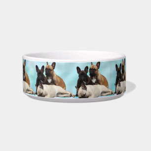 French Bulldoggen Futternapf Bowl
