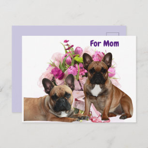 French Bulldoggen Holiday Postcard