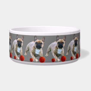 French Bulldoggen Hunde apf Napf