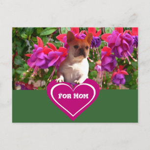 French Bulldoggen Postcards