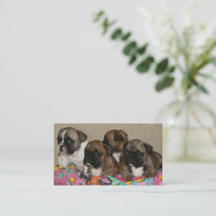 French Bulldoggen Puppies Business Cards