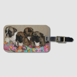 French Bulldoggen puppies Luggage Tag