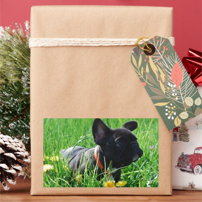 French Bulldoggen sticker (Holiday)