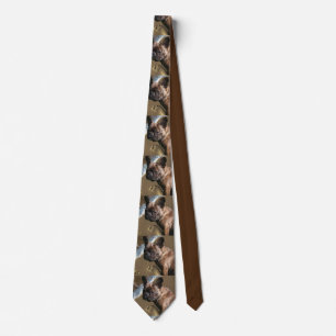 French bulldoggen tie