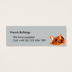 French Bulldogs