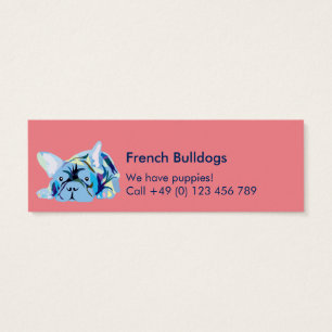 French Bulldogs