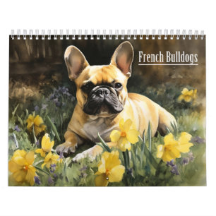 French Bulldogs Calendar , any year