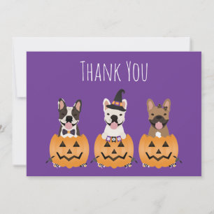 French Bulldogs Halloween Thank You Card