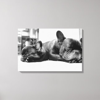 French bulldogs puppies sleeping side by side canvas print