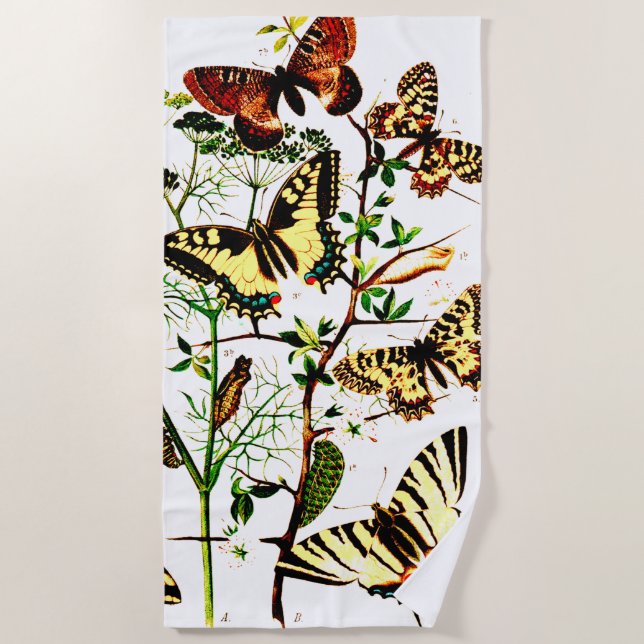 French Butterflies Beach Towel (Front)