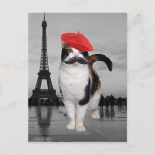 French Cat in Paris Postcard