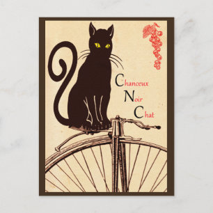 French cat postcard