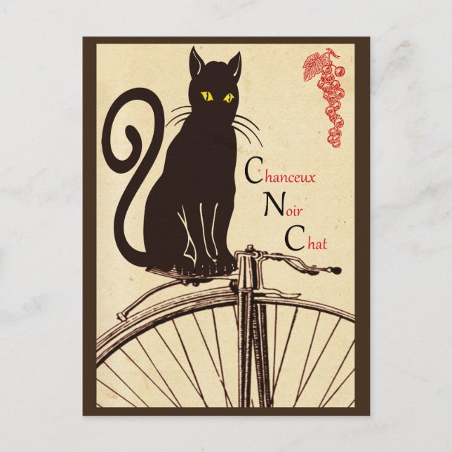 French cat postcard (Front)