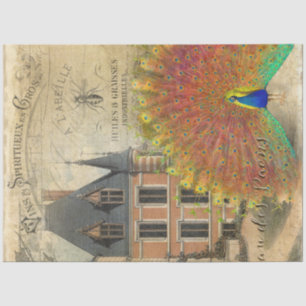 French Chateau Vintage Peacock Ephemera Decoupage Tissue Paper