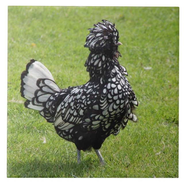 French Chicken Tile (Front)