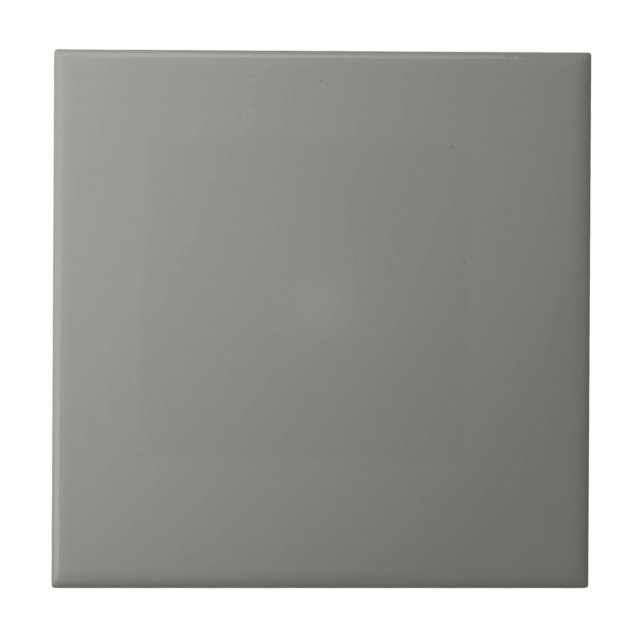 French Classical Grey Square Kitchen and Bathroom Tile (Front)