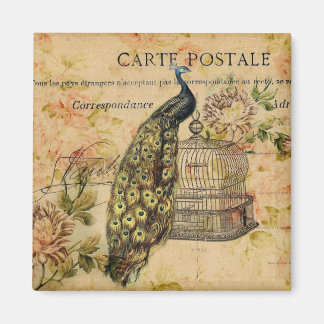 french country art nouveau vintage peacock magnet