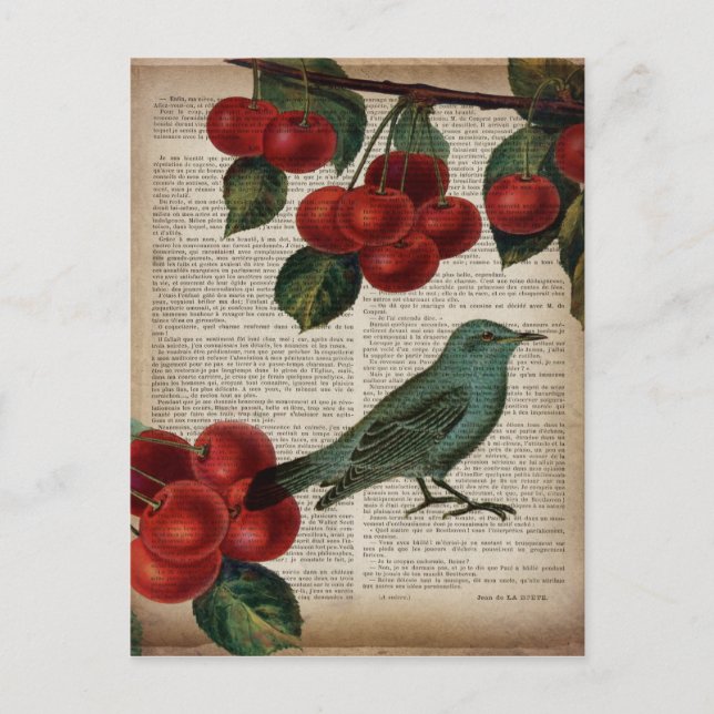 french country bird retro botanical red cherry postcard (Front)