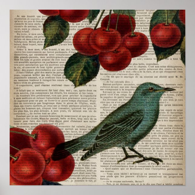 french country bird retro botanical red cherry poster (Front)
