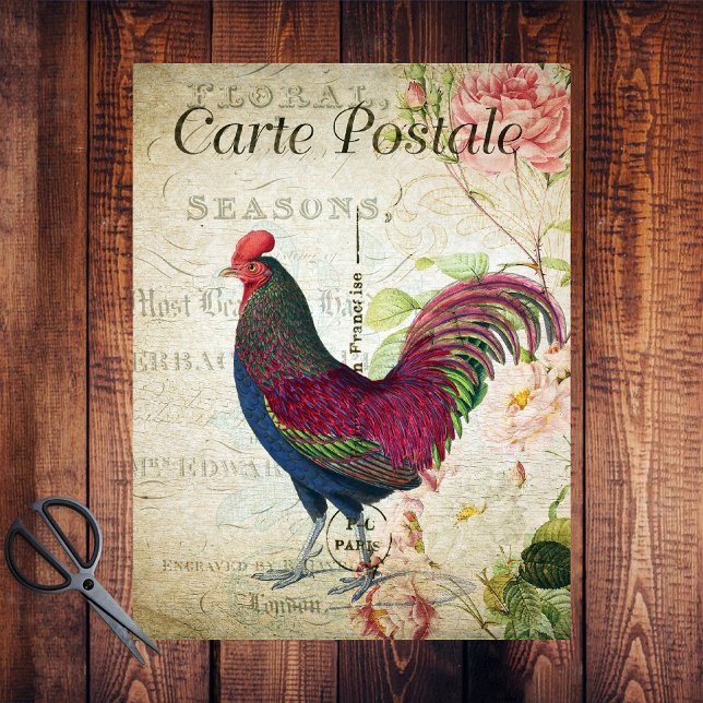 French Country Colourful Rooster  Tissue Paper (Creator Uploaded)
