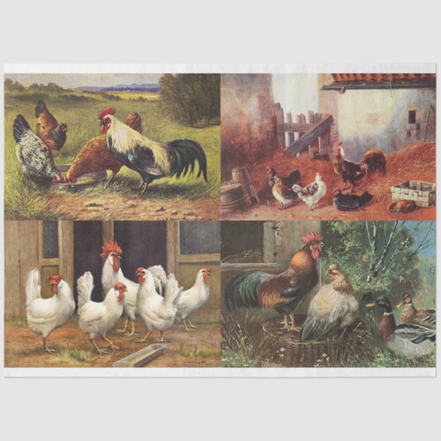 French Country Farmhouse Roosters Quad 1 Decoupage Tissue Paper (Front)