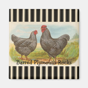 French Country Rooster Hen Poultry Fridge Magnet