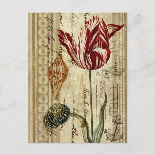 french country scripts botanical spring tulip postcard (Front)
