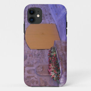 French Courtyard iPhone5 Case