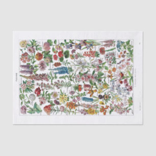 French Dictionary Plate Print-No.22137-Flowers/Fle Tissue Paper