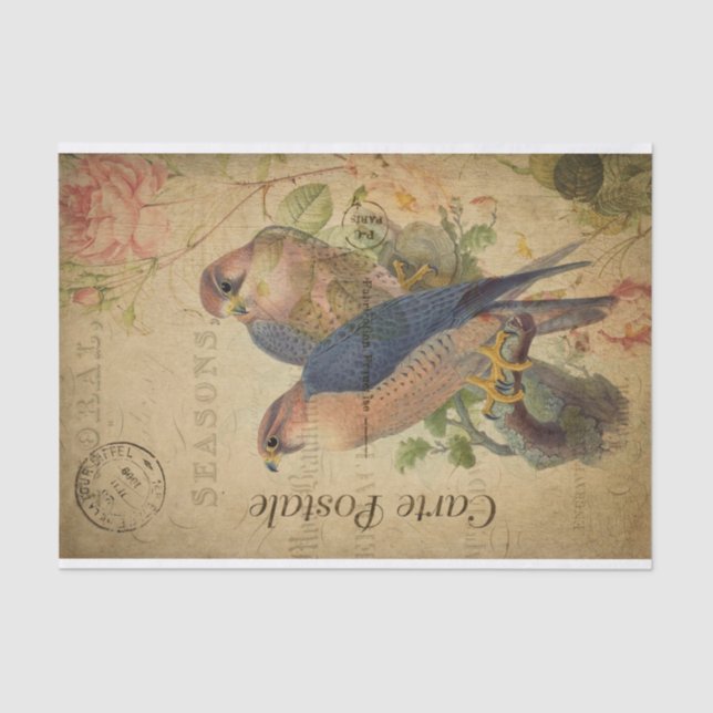 French Ephemera Gosbeak Bird Rose Floral Decoupage Tissue Paper (Front)