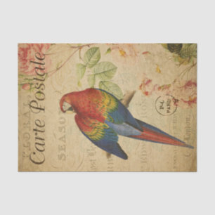 French Ephemera Red Yellow Macaw Floral Decoupage Tissue Paper