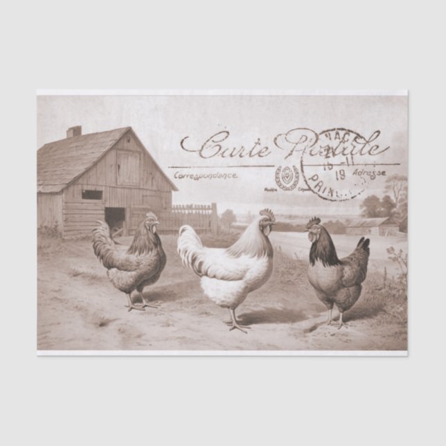 French Farmhouse Chicken Barn Hen Bird Decoupage  Tissue Paper (Front)