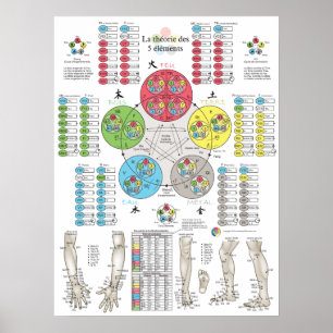 French Five Elements Acupuncture Poster