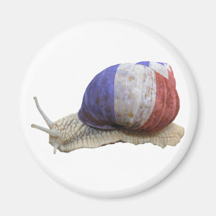 French flag snail magnet