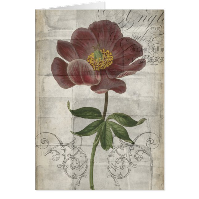 French Floral I (Front)