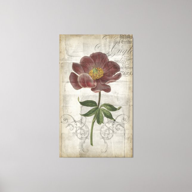 French Floral I Canvas Print (Front)
