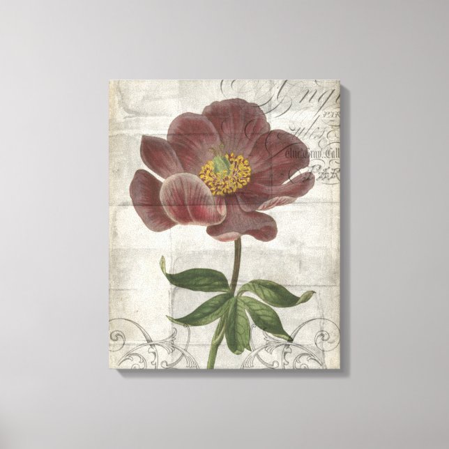 French Floral I Canvas Print (Front)