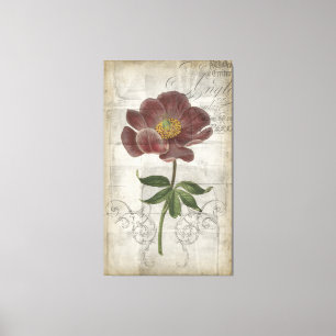 French Floral I Canvas Print