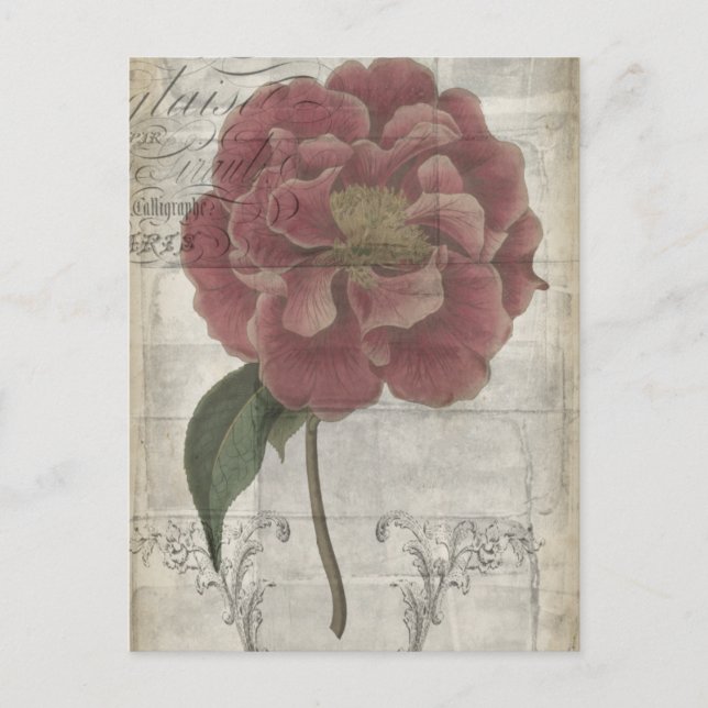 French Floral III Postcard (Front)